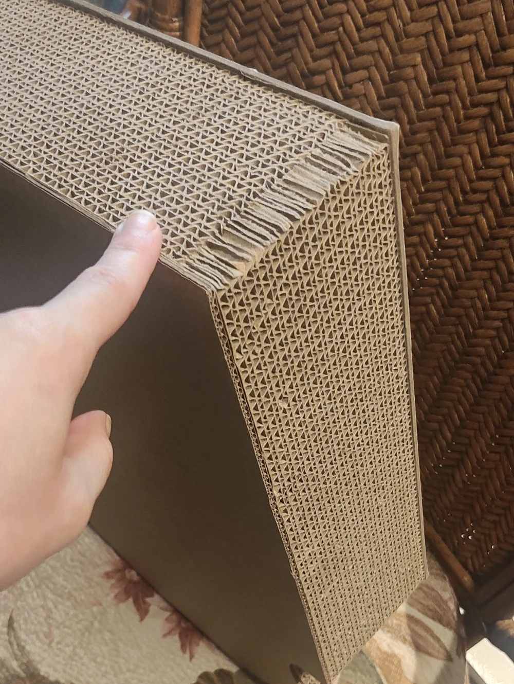 PETS: CAT SCRATCHER TOY: RIP HALLOWEEN POP-UP GHOST & BALL